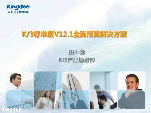 金蝶K3 WISE V12.1全面预算解决方案
