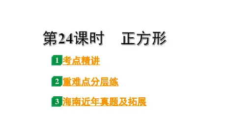 2024海南中考数学二轮重点专题研究 第24课时  正方形(课件)