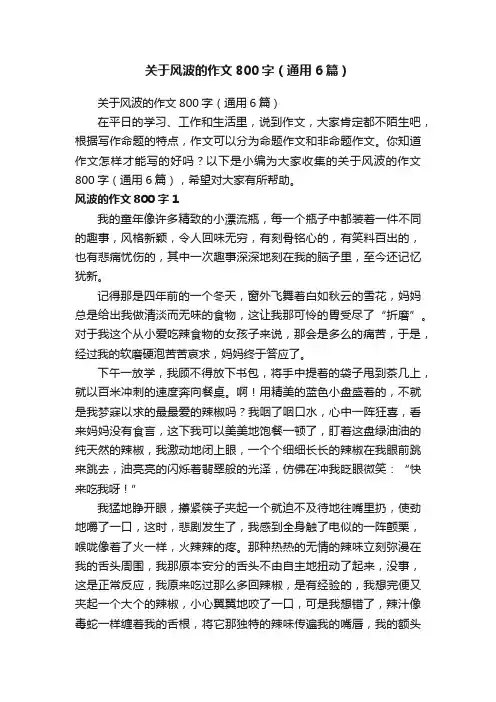 关于风波的作文800字（通用6篇）