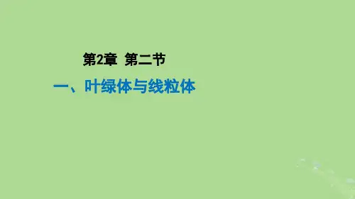 高中生物叶绿体与线粒体北师大版必修1