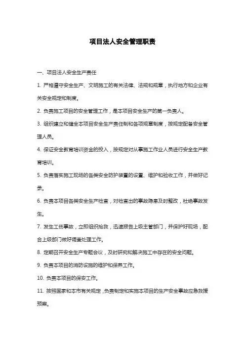 项目法人安全管理职责