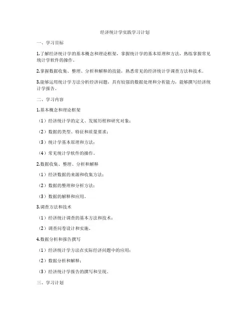 经济统计学实践学习计划