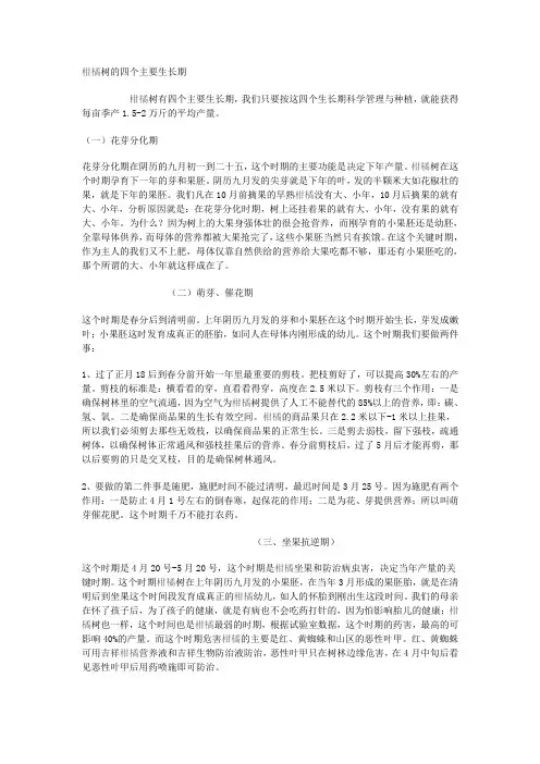 柑橘树的四个主要生长期