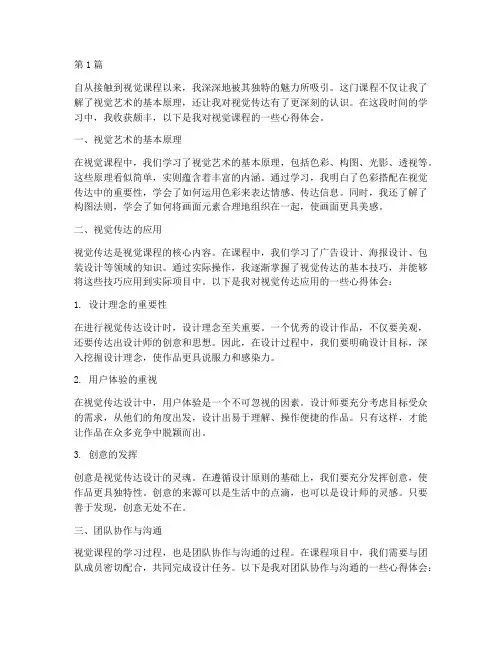 视觉课程心得体会范文(2篇)