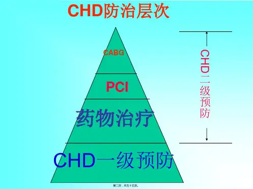 CHD合理用药及误区