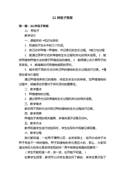 11种茄子教案
