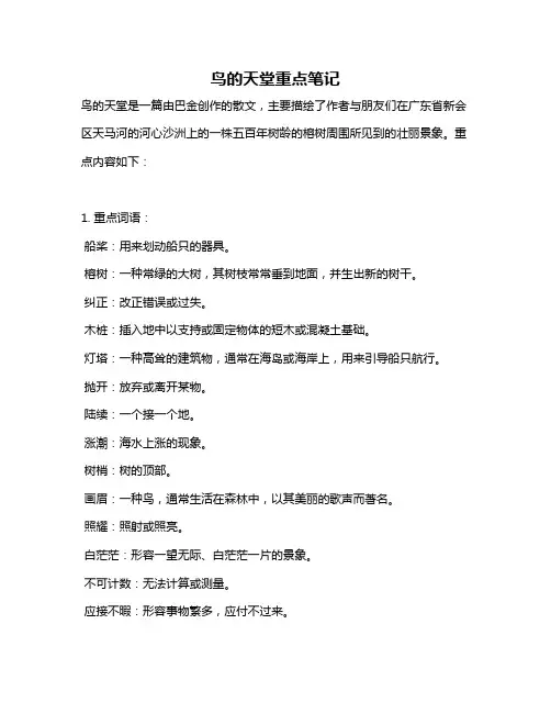 鸟的天堂重点笔记