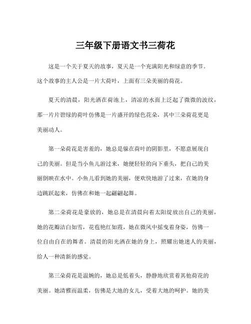 三年级下册语文书三荷花