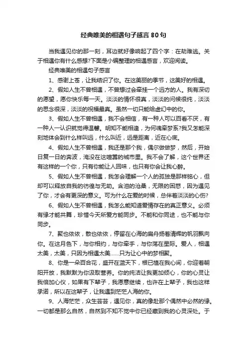 经典唯美的相遇句子感言80句