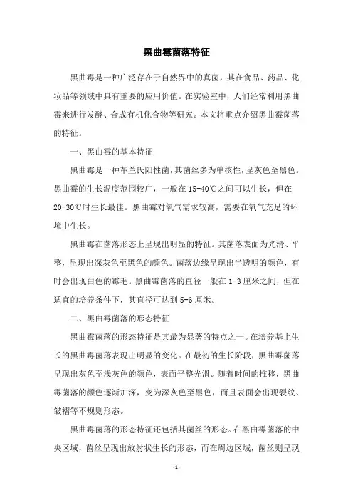 黑曲霉菌落特征