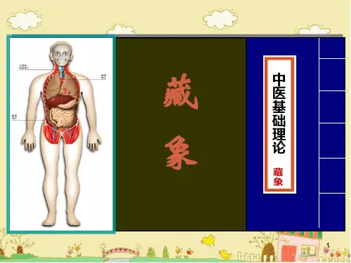 小儿推拿之藏象学说-六腑、奇恒之腑