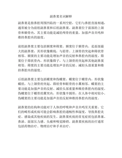 副鼻窦名词解释