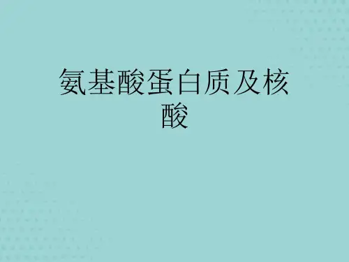 【精选】氨基酸蛋白质及核酸PPT文档