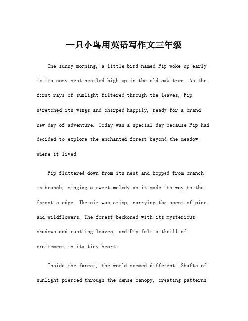 一只小鸟用英语写作文三年级