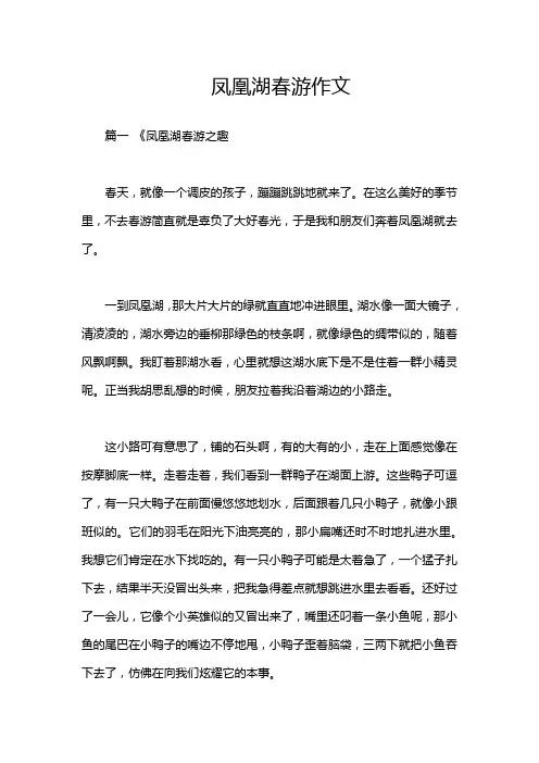 凤凰湖春游作文