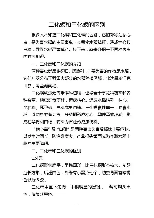 二化螟和三化螟的区别