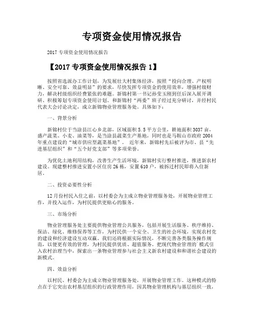 专项资金使用情况报告