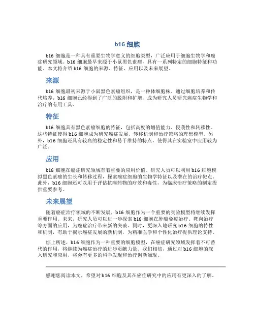 b16细胞