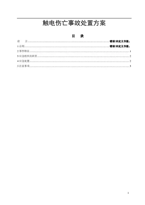 风电场触电伤亡事故处置方案