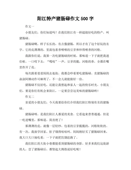 阳江特产猪肠碌作文500字