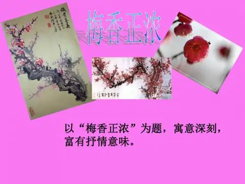 北师大版语文第十一册《梅香正浓》PPT课件11