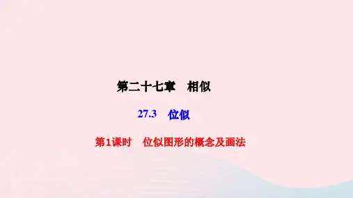 2023-2024学年人教版九年级数学下册27.3位似第1课时位似图形的概念及画法  作业课件