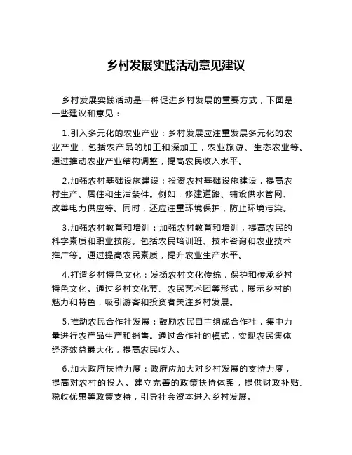 乡村发展实践活动意见建议