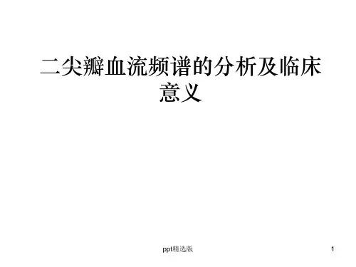 二尖瓣血流频谱分析.ppt课件
