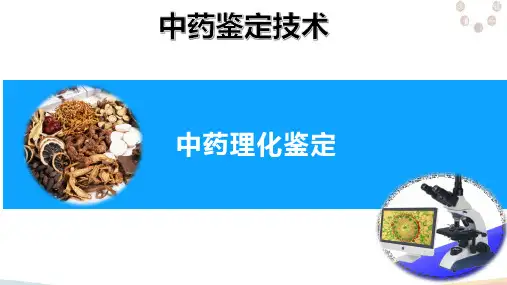 中药鉴定专项技能—理化鉴定技术