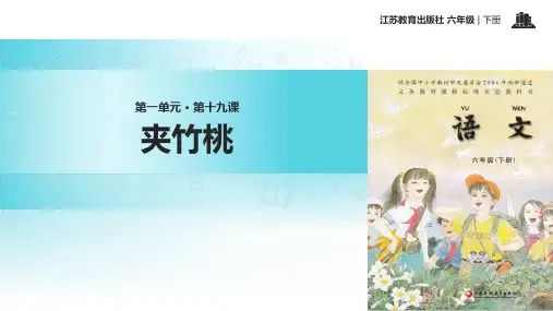 夹竹桃  PPT课件