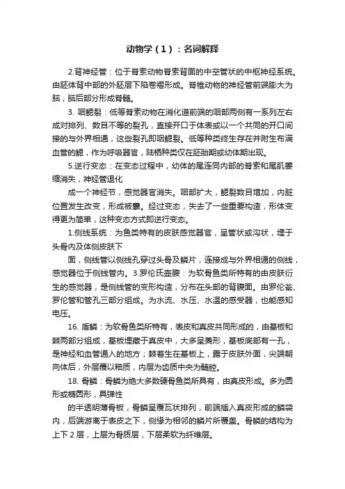 动物学（1）：名词解释