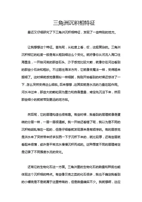 三角洲沉积相特征