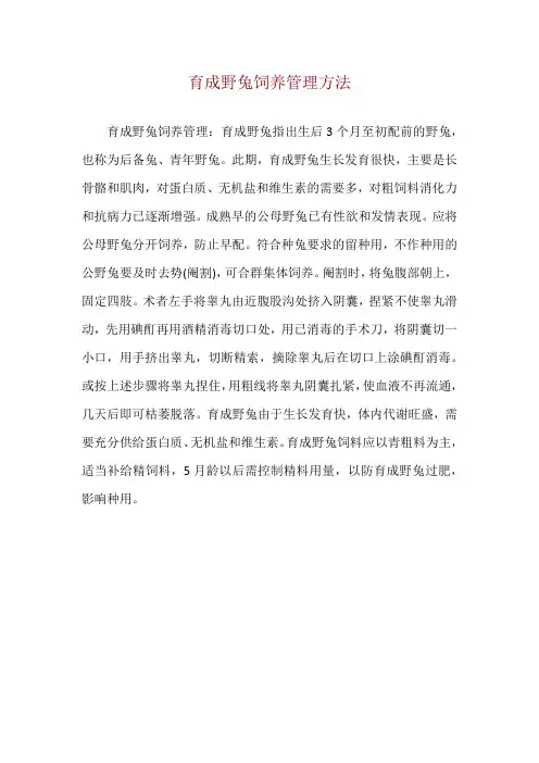 育成野兔饲养管理方法
