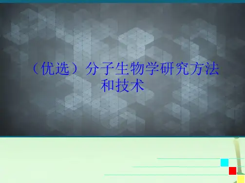 分子生物学研究方法和技术(共92张PPT)