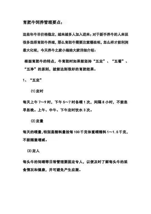 育肥牛饲养管理要点