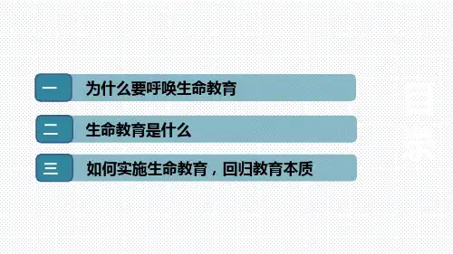 小学生主题班会课件-呼唤生命教育,回归教育本质 通用版