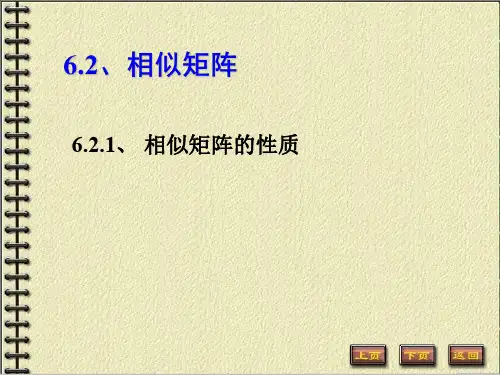 第六章相似矩阵