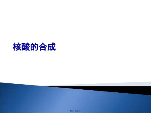核酸的合成