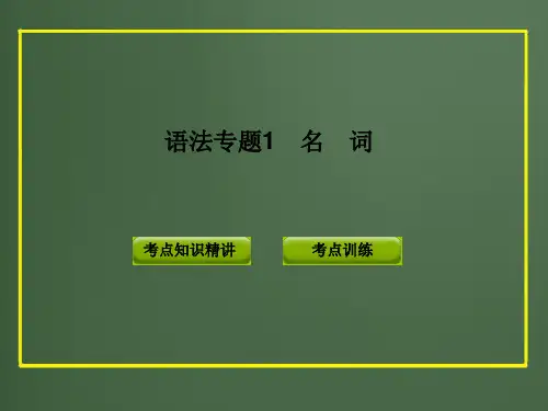 stella中考英语复习语法专题1__名词分析