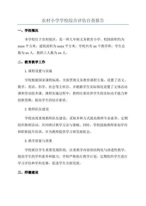 农村小学学校综合评估自查报告