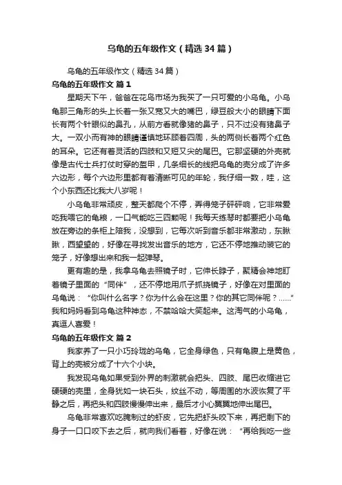 乌龟的五年级作文（精选34篇）