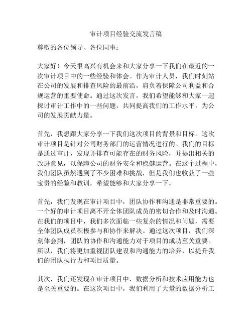 审计项目经验交流发言稿