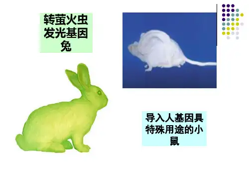 1.1DNA重组技术的基本工具
