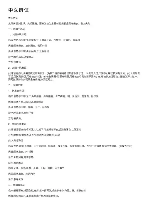 中医辨证——精选推荐