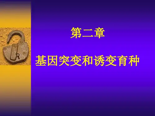 微生物遗传育种,基因突变ppt课件