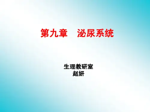《正常人体学》课件-肾脏生理