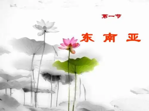 东南亚优质课课件公开课教学课件精品