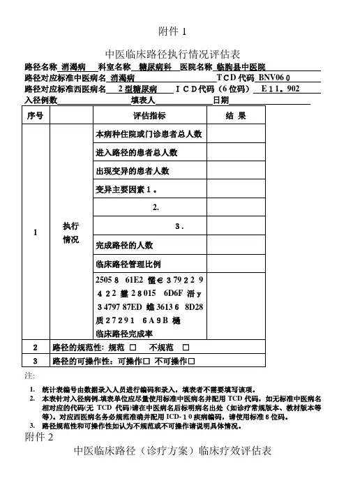 中医临床路径评估表