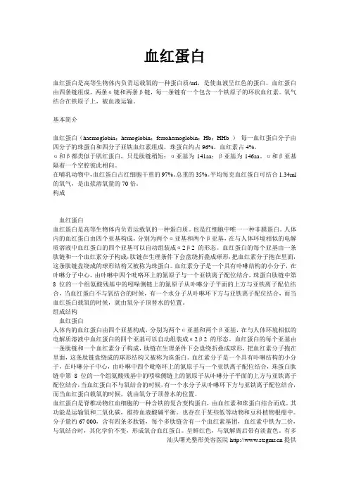 血红蛋白