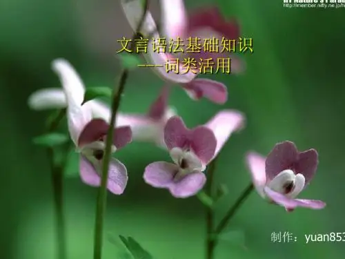 高考复习文言语法基础知识——词类活用 PPT课件